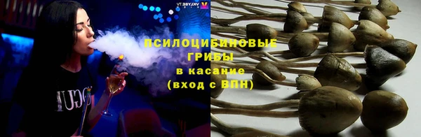 спиды Алексеевка
