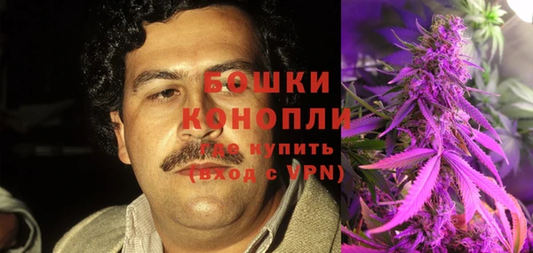 винт Алзамай