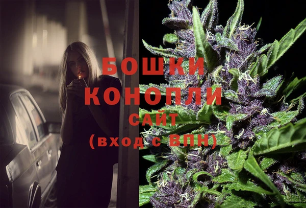 винт Алзамай