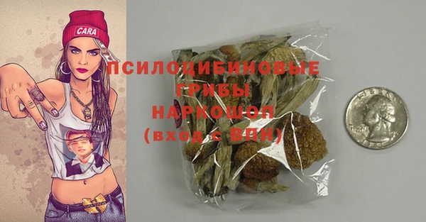 винт Алзамай