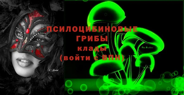 винт Алзамай